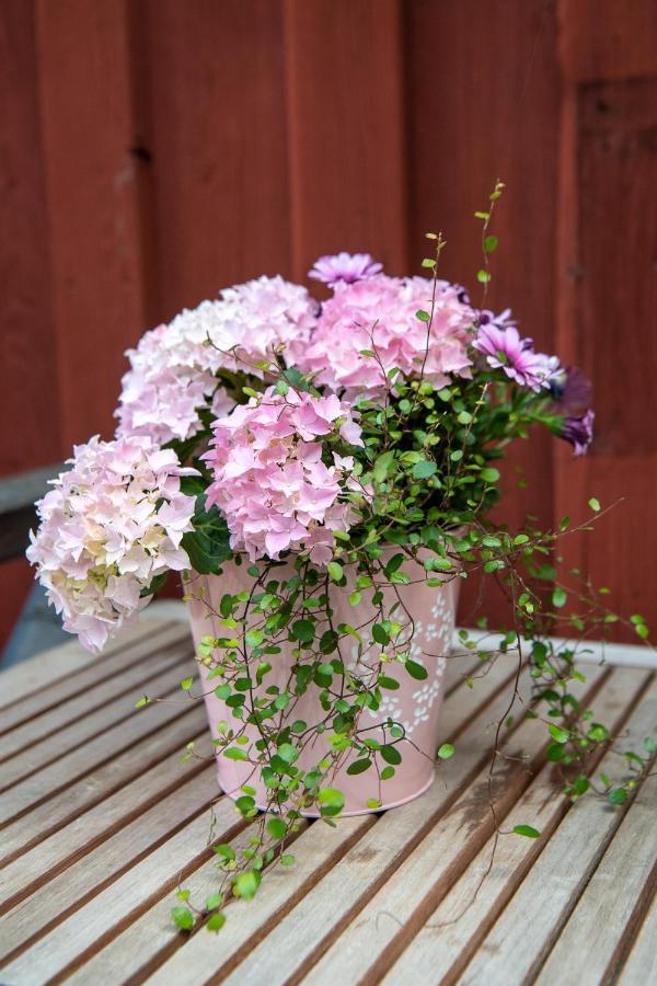 Mangelgardens B&B Soderkoping ภายนอก รูปภาพ